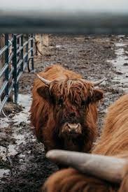 Common Travel Mistakes to Avoid