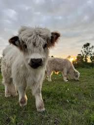 What Happens If There Is a Problem?